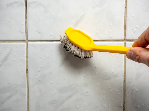 Best Best Mold Removal Companies  in Dover, DE