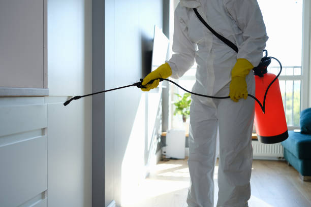 Certified Mold Removal in Dover, DE
