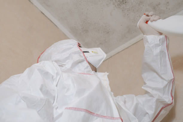 Best Water Damage Restoration  in Dover, DE